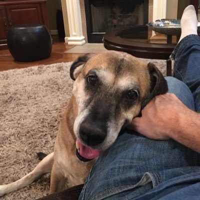 Airbornelex's profile picture. 