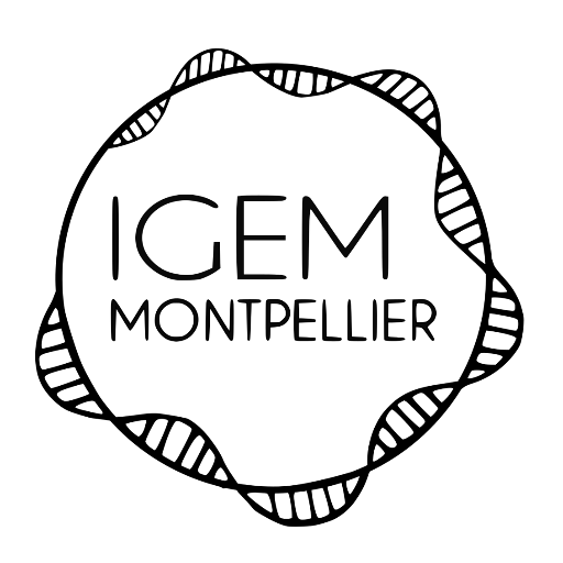 iGEM Team from Montpellier (France) support us on all social media : https://t.co/SoBksO2ziM…
