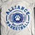 Alliance Boys Basketball (@alliancehighbb) Twitter profile photo Alliance Boys Basketball (@alliancehighbb) Twitter profile photo