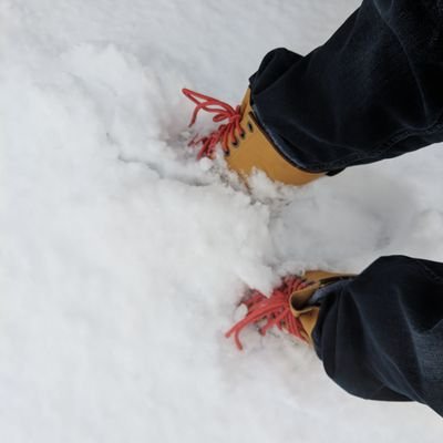 Ro_ZoomTc's profile picture. 