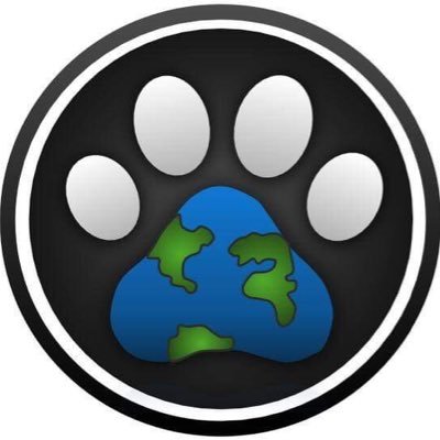 GlobalFetch's profile picture. Producers of the soon to be launched 'Pet Patrol' pet tracking collar 🐶🐾🐱fetchgloballp@gmail.com 📩