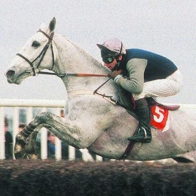 Life's a gas apparently. A pretty toxic one most of the time. Socialist. Horse racing fan.
Wouldn't want to make anyone jealous, but I garden for a living. ⚒️
