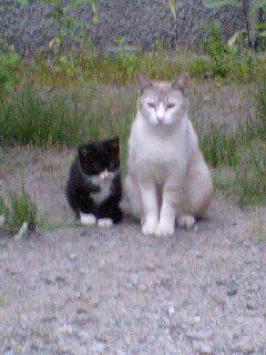 soho_81's profile picture. 一棋一遊