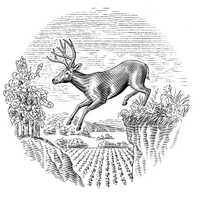 Stags' Leap Winery (@stagsleapwines) 's Twitter Profile