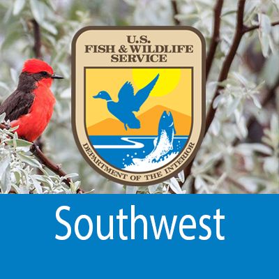 The archived tweets of the Southwest Region of the U.S. Fish and Wildlife Service. This account is inactive. Please follow us at @USFWS for the latest!