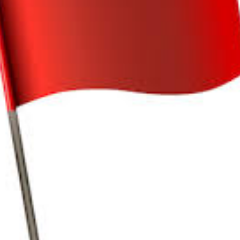 DavidEllinster's profile picture. firm believer, analogue