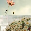 Mary Jang - @Mary_0630 - Twitter