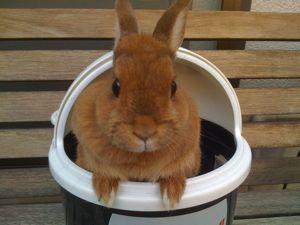 556map's profile picture. 