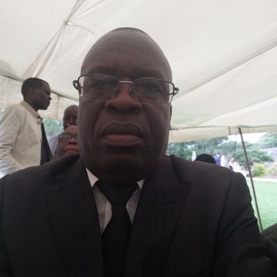 mavuwa81's profile picture. Economist