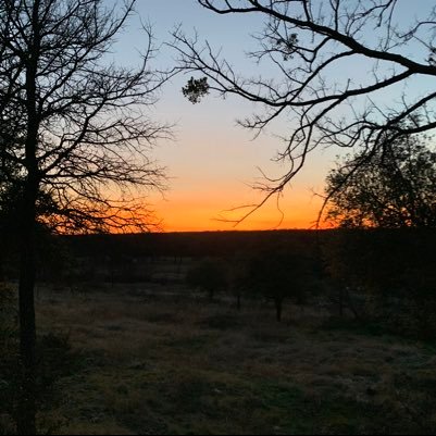 SomeFirefighter's profile picture. 