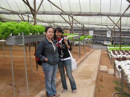 mila_techfast's profile picture. nothing special about me ^^