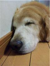 megra0701's profile picture. 