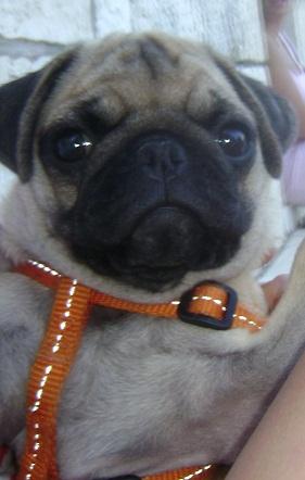 veronikaa5's profile picture. 