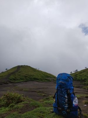 hoampol's profile picture. hoampol