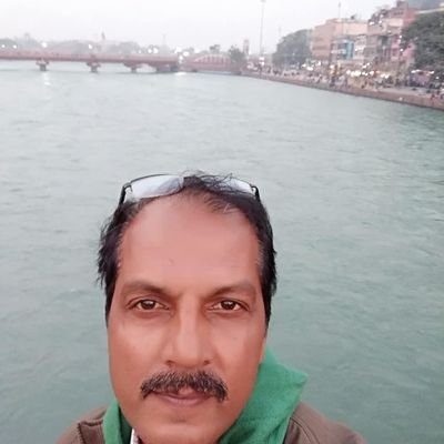 navneet53447331's profile picture. 