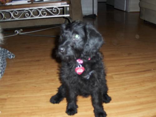 PamelaSueGreen's profile picture. 