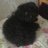 Zhuxudong5's avatar