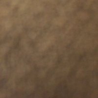 pathetic loser (@mikeand69055239) 's Twitter Profile