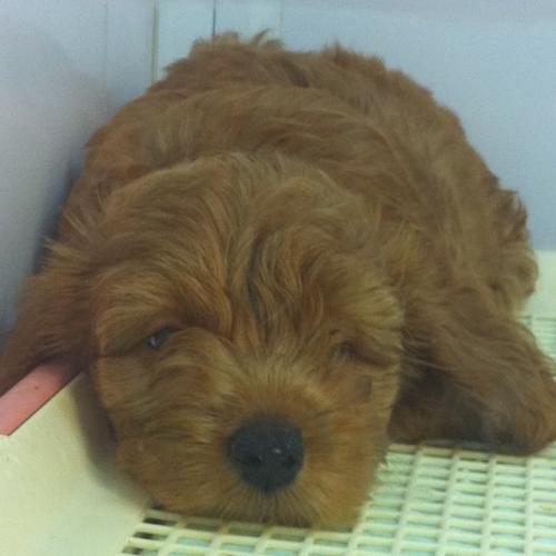 dostab's profile picture. 野球／バドミントン／ゴルフ／水泳／マラソン／２４／ルパン／コナン／居酒屋／喫茶店／アウディ／為替ＦＸ／海／港／横浜……が好きです☻