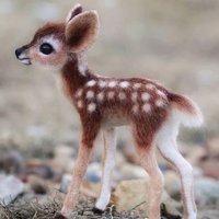 Nature Gifts (@natureglfts) 's Twitter Profile Photo