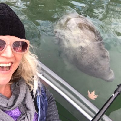 MarlaCamp_ATX's profile picture. Native Texan. Animal lover. Guacamole aficionado.