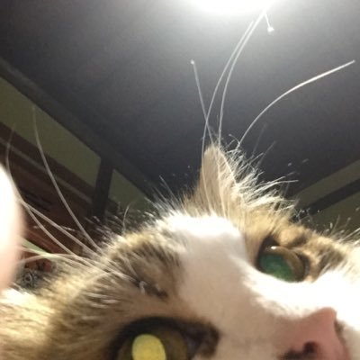 あすごんさんのプロフィール画像