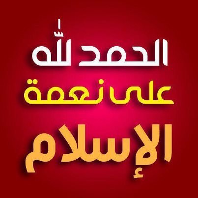 walidjijalg's profile picture. أخوكم متعلم على سبيل النجاة...
أستاذ باحث