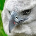 Tio Tito (@eltiotitojose) Twitter profile photo Tio Tito (@eltiotitojose) Twitter profile photo