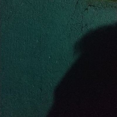 master_mikoy's profile picture. ahem