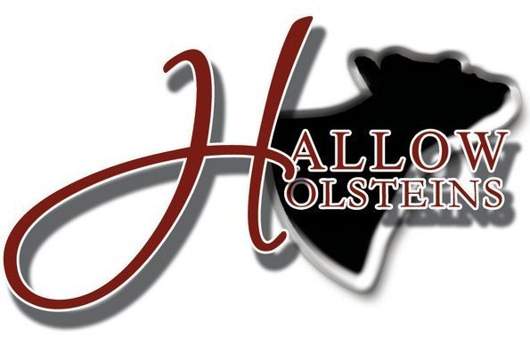 HallowHolsteins's profile picture. Pure bred Holstein Friesians Farm
Based in Gorey Co Wexford.
Owned by Mr Philip & Linda Jones.