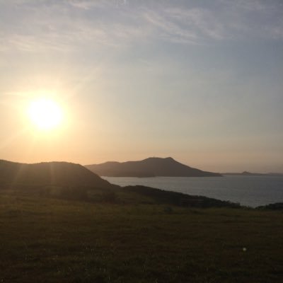 Kamiya_sat's profile picture. 