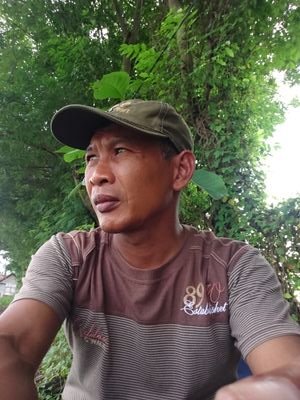 kholiliavandy's profile picture. rambut