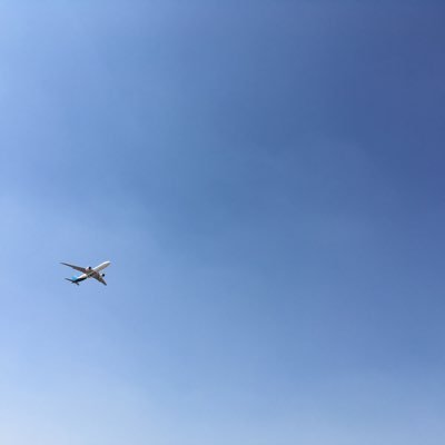 rnandan273's profile picture. Techie , code for a living