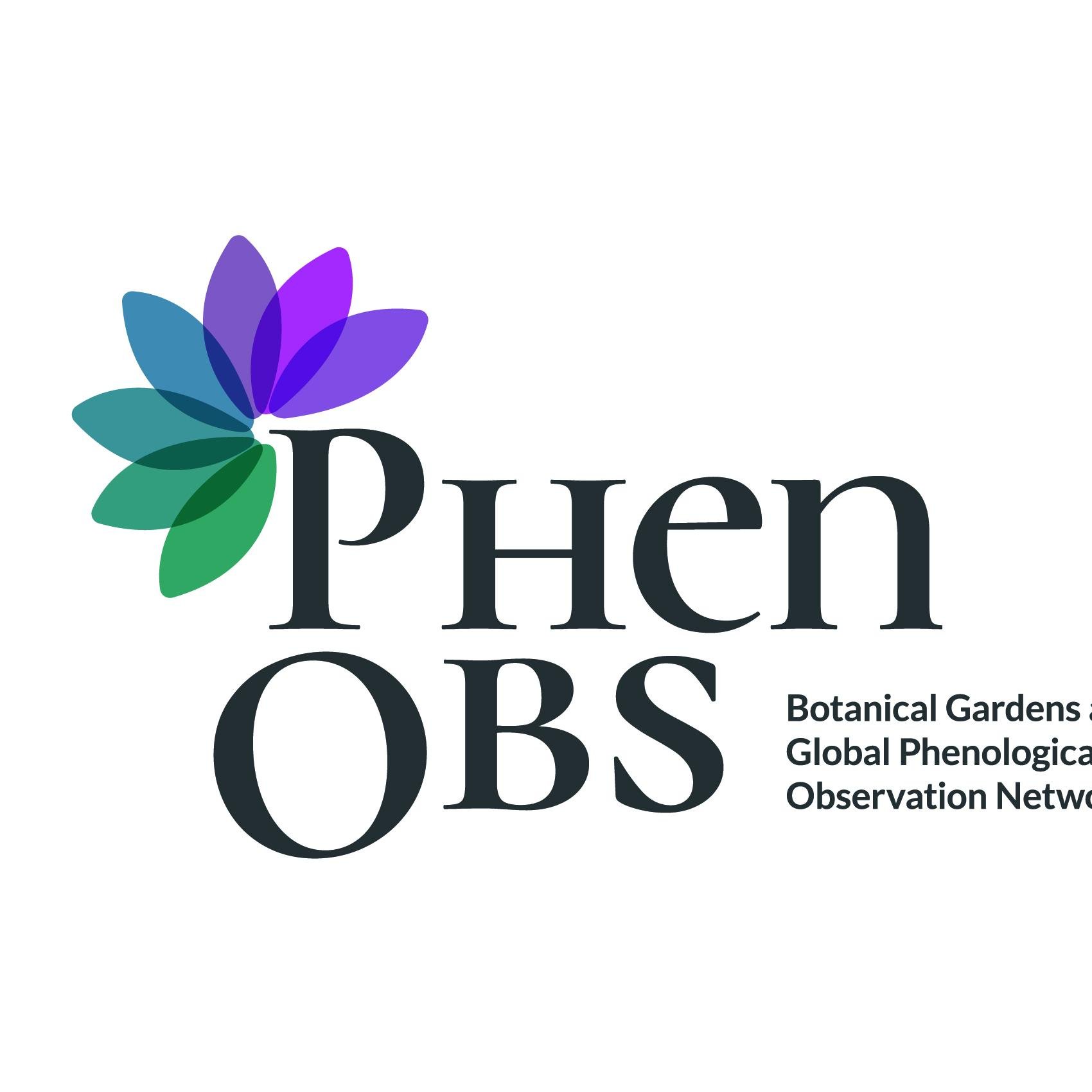 PhenObs is a global network of  botanical gardens studying the phenology and traits of herbaceous species. We are funded by @iDiv.