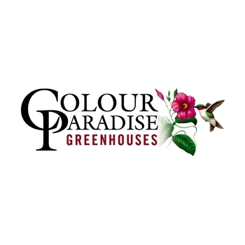 Your local, family owned and operated garden centre growing and selling a huge selection of high-quality plants in Waterloo Region! Come visit us! 🌻