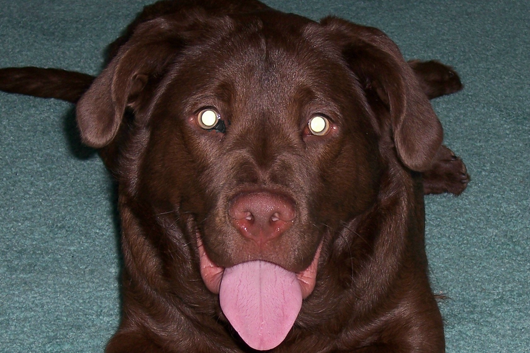 BUDWRENCH83G's profile picture. 