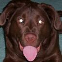 GARY WIEGERT - @BUDWRENCH83G - Twitter