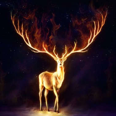 AntoineRSR's profile picture. 