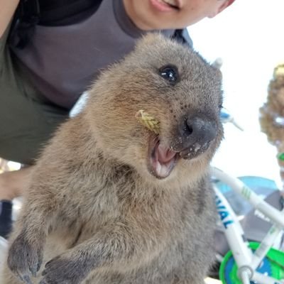 元気印のゆーたんです 映画の ビューティフル クリーチャーズ 光と闇に選ばれし者 面白そう