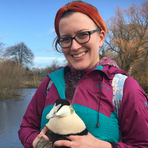 🦆 pending Dr of (Eider) Ducks | Principal Research Officer (Wetland Bioscience), on species recovery @wwtworldwide | Associate Trustee @HantsIWWildlife 🦢