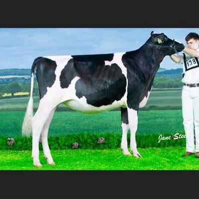 JackONe37790306's profile picture. 