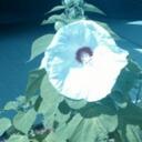 Mae Buckner - @buckrn - Twitter