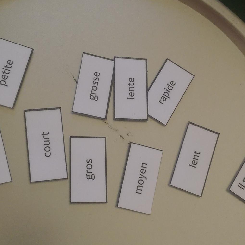 francopholies's profile picture. Francophone. World Culture. World Citizen. Foodie.