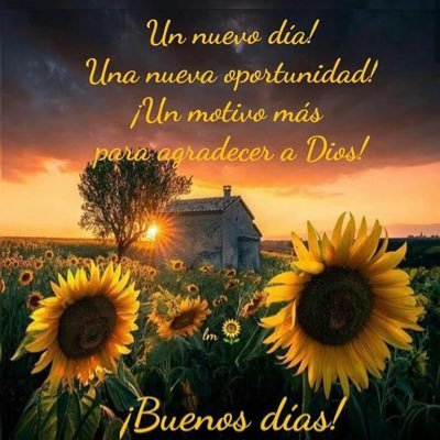 MatildeDeProcel's profile picture. Regresa para combatir el machismo e imponer la voluntad de las mujeres de mi querido #Ecuador