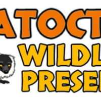 Catoctin Wildlife Preserve(@thezooforyou) 's Twitter Profile Photo