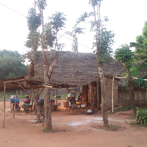 Médecin retraité, actions humanitaires en Afrique. J'ai vacciné aussi chez nous. Fils de Républicains espagnols. Anti RN et Insoumis. Amateur des Pink.