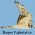 Skagen Bird Observatory (@skagenbirdobs) Twitter profile photo Skagen Bird Observatory (@skagenbirdobs) Twitter profile photo