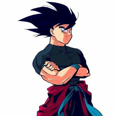 Mr Goku on X: #Perfil Mr Goku / X
