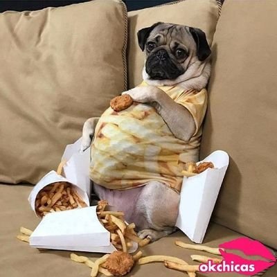 Lloc26's profile picture. ¿Felicidad? Hamburguesas, Pizzas, Chocolate, Patatas, Tarta de queso...