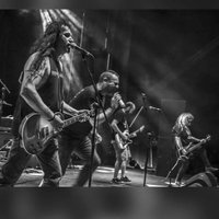 Zirrosis (@zirrosis1) 's Twitter Profile